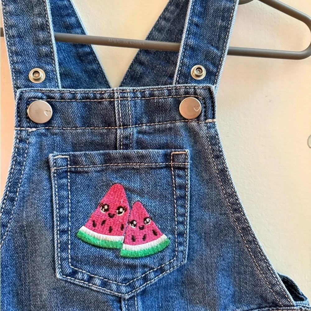 Children’s Place Denim Watermelon Shortalls